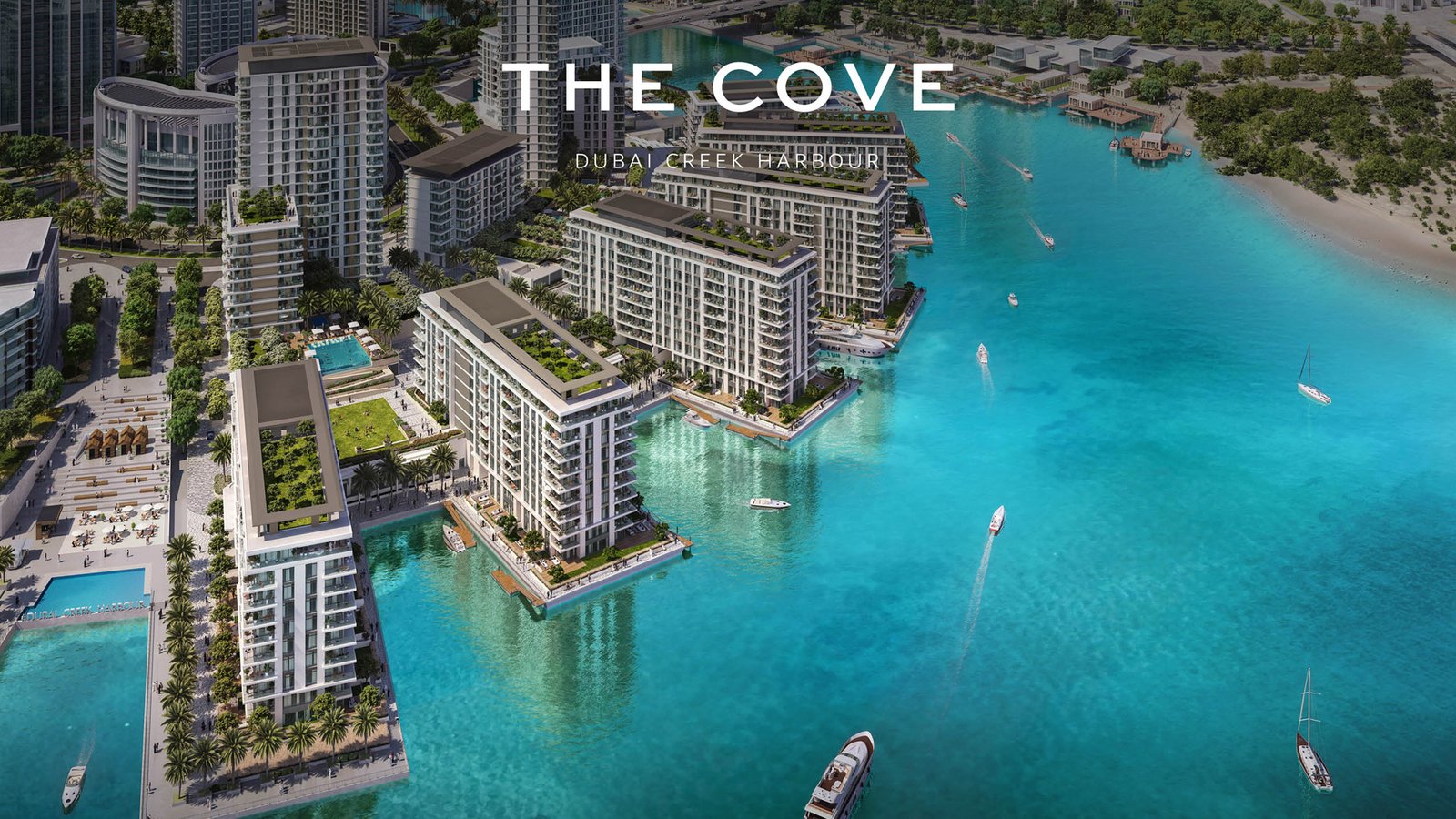 The Cove